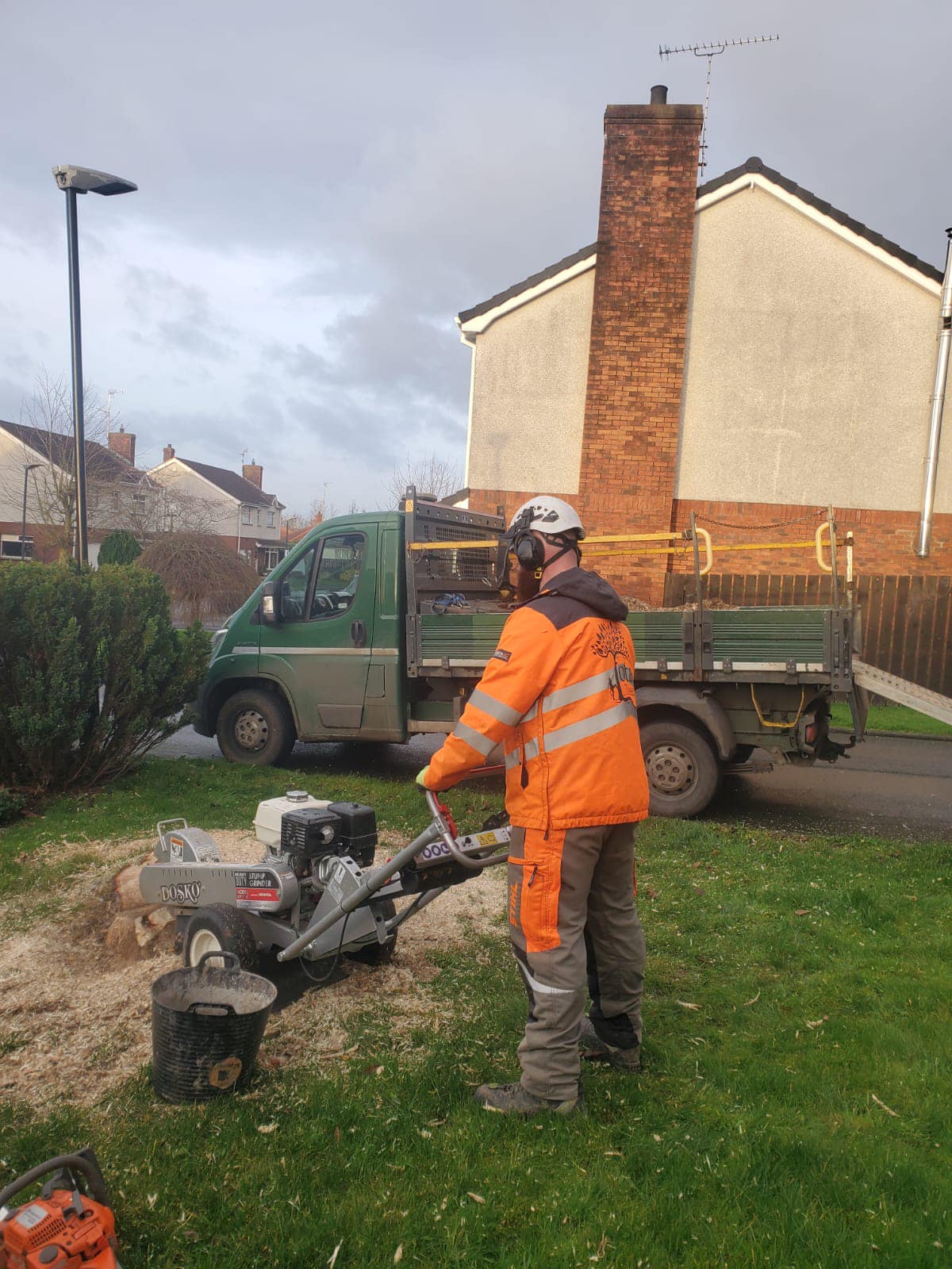 stump grinding by staff of Total Trees Ltd