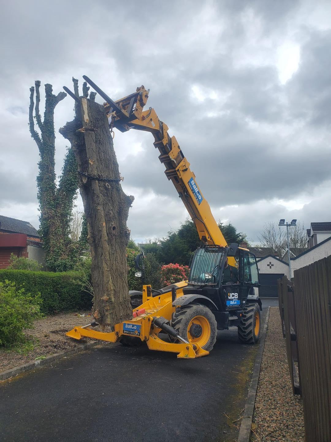 crane carrying tree for no drop zone