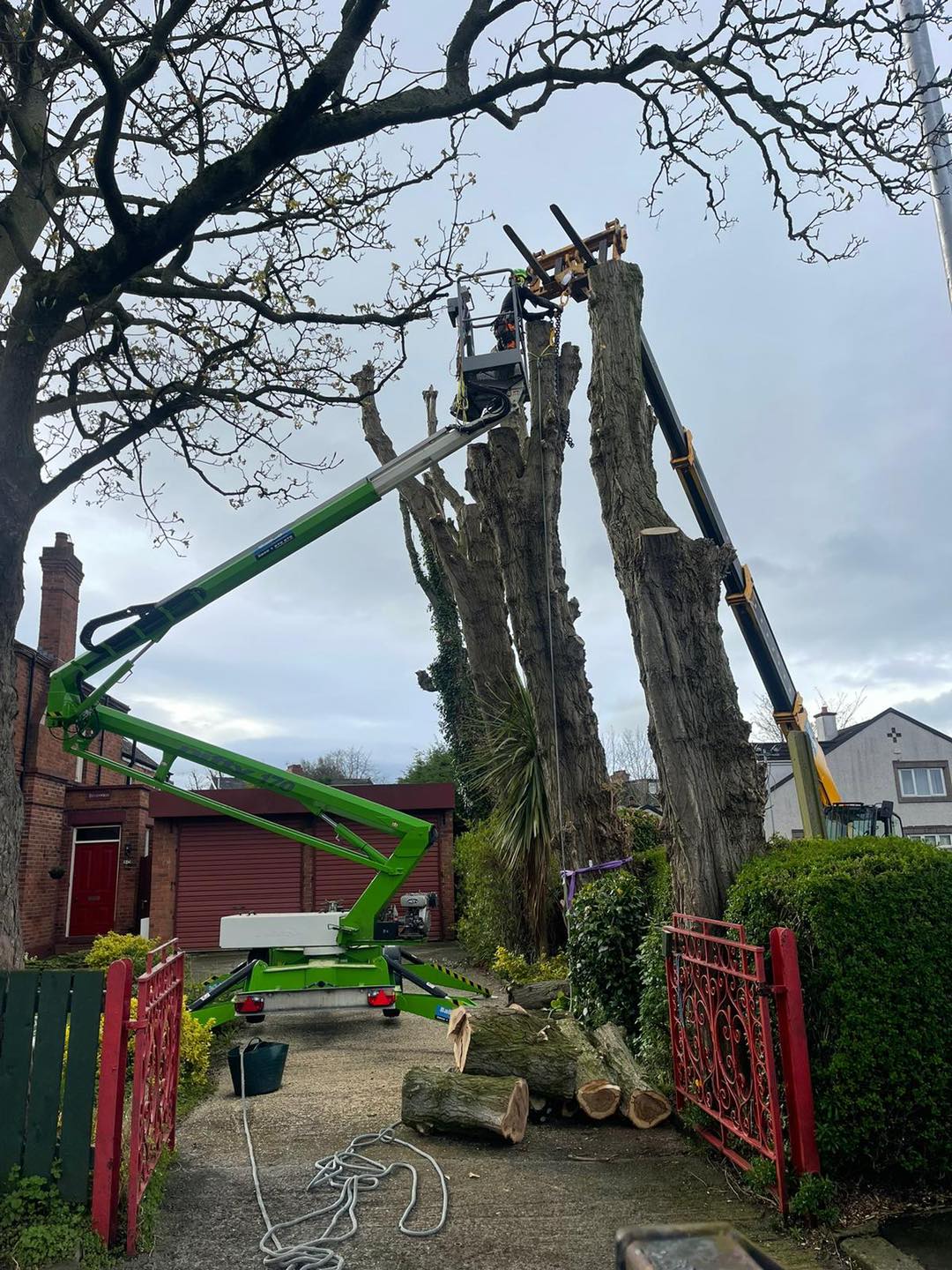 crane carrying tree for no drop zone