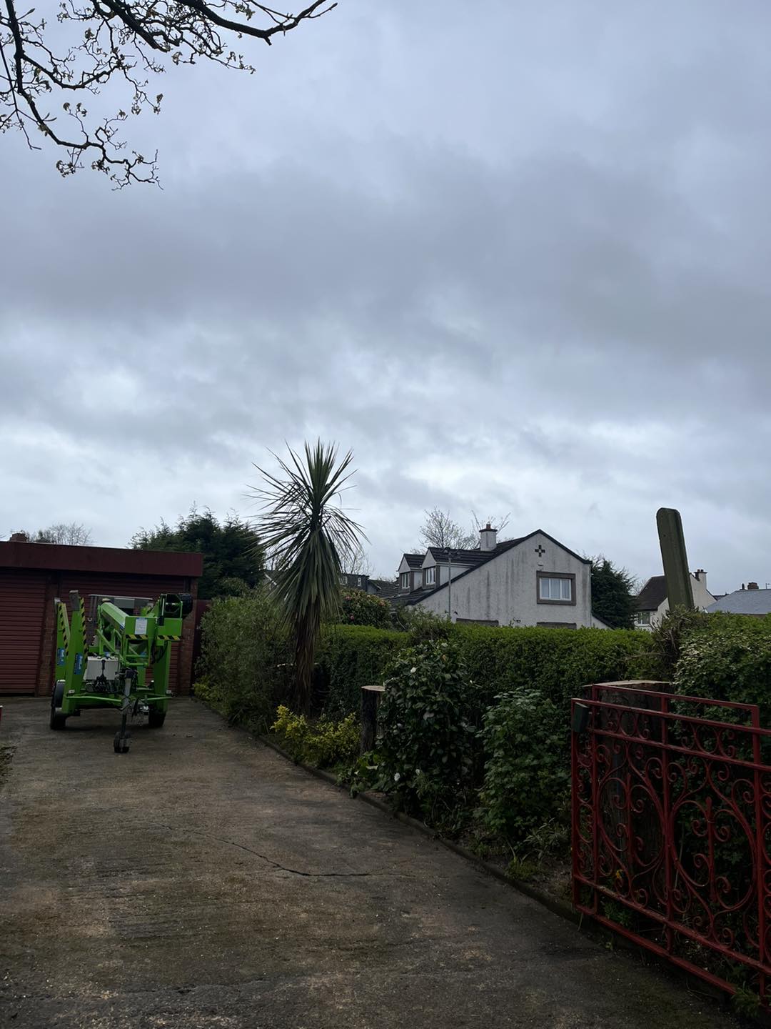 garden now has tree removed and chipper beside