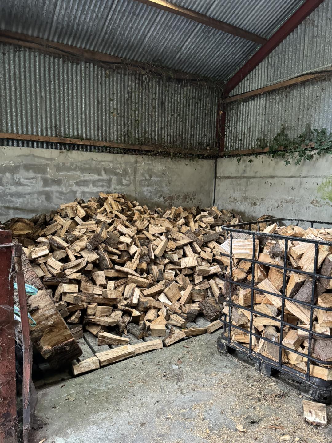 logs of trees chopped down and removed firewood