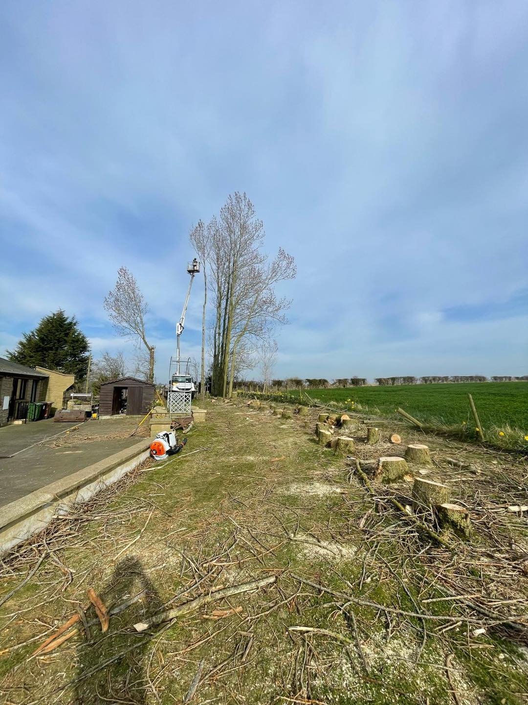 Lumberjack on cherry picker in distance of trees that have been cut down and removed