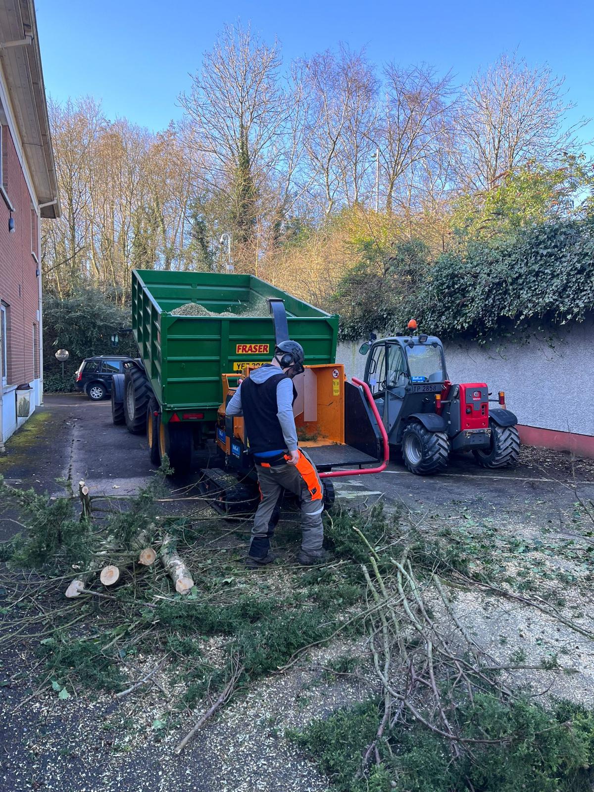 tree removal beside building totals trees ltd