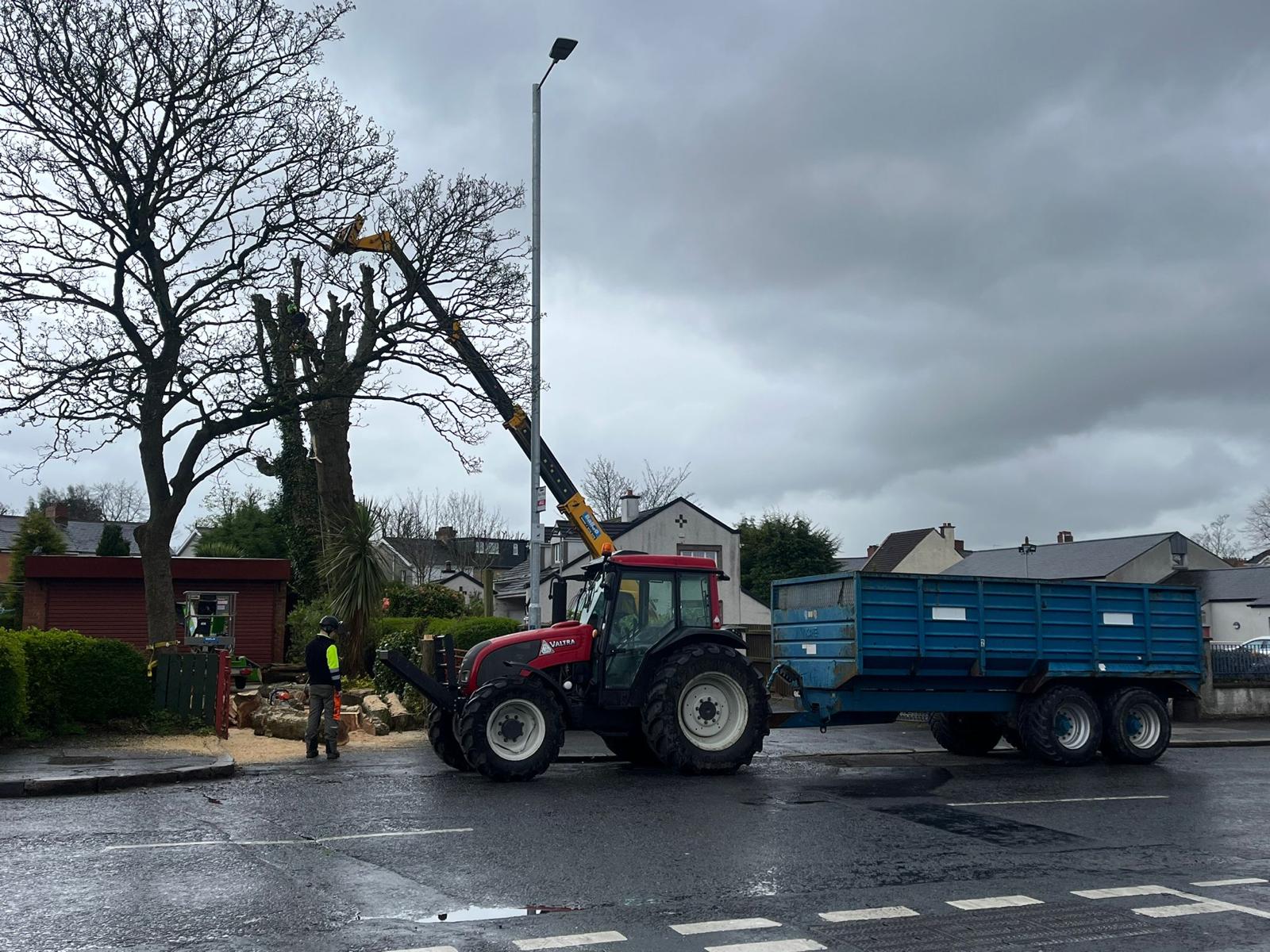 crane carrying tree for no drop zone