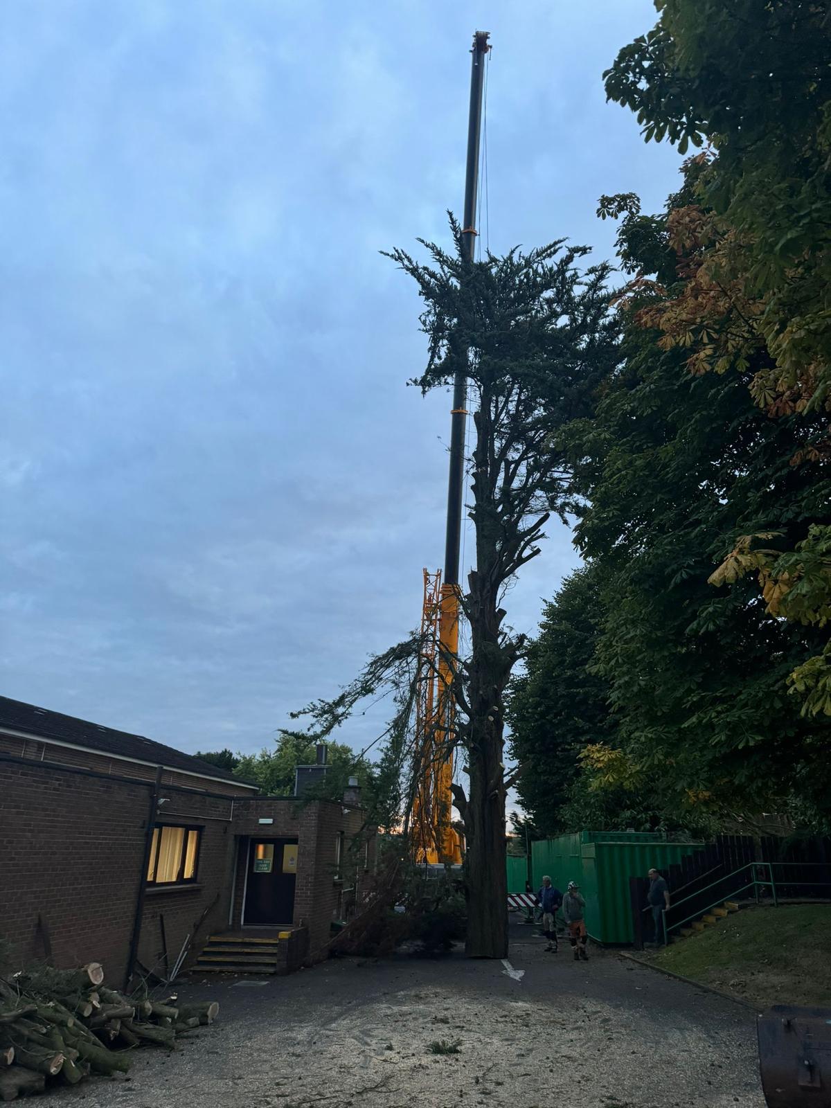 rigging no drop zone job by total tree ltd