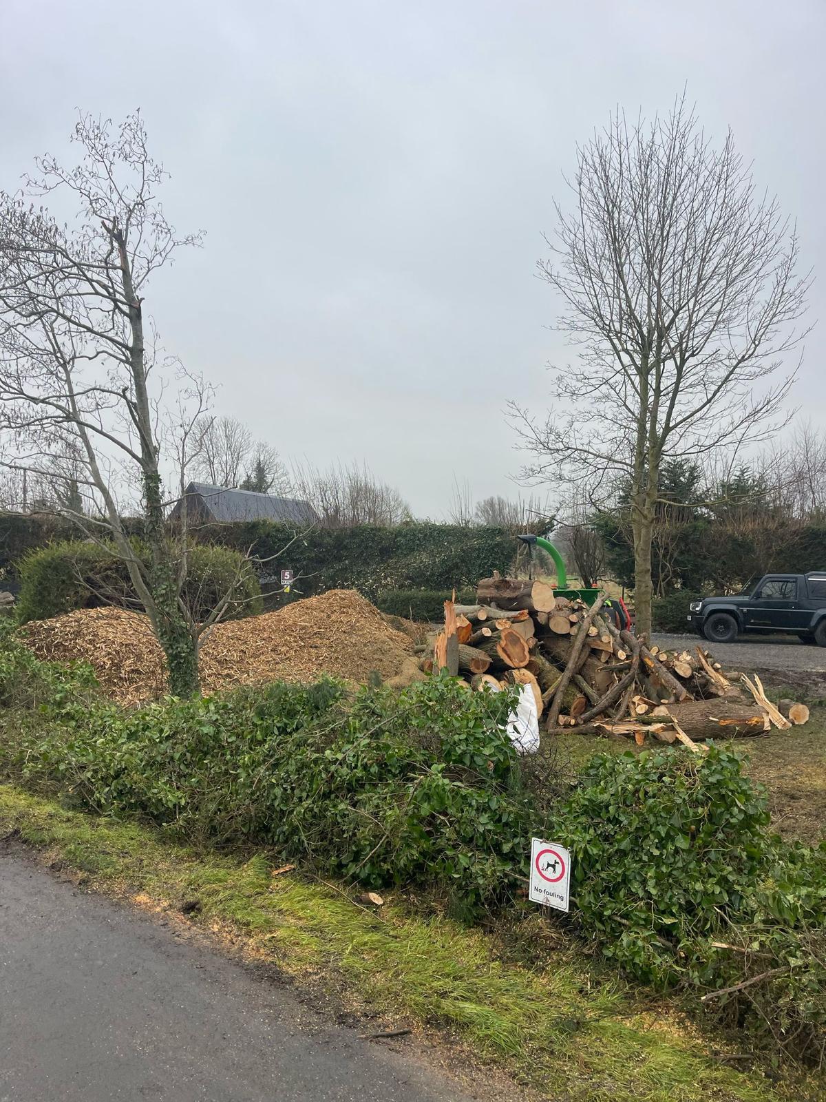 log stack up from tree removal northern ireland