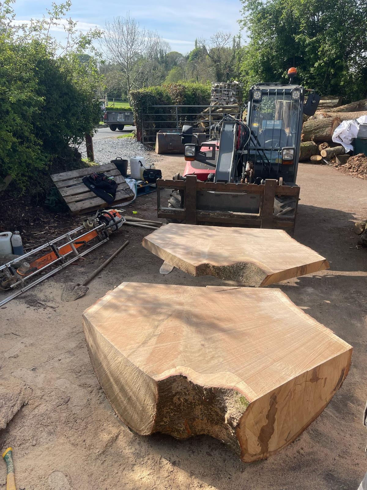 shaping and leveling of log trunk