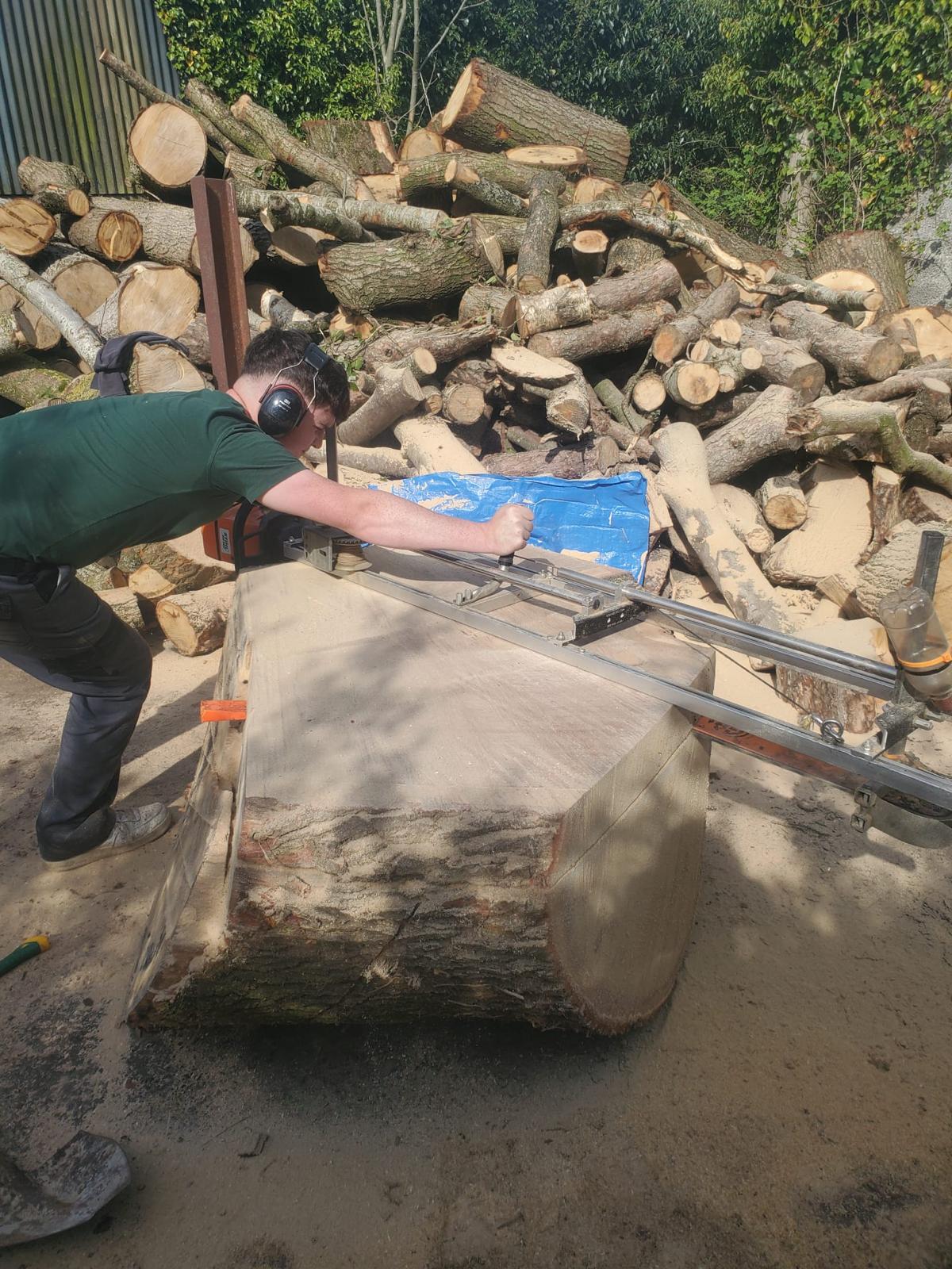 shaping and leveling of log trunk