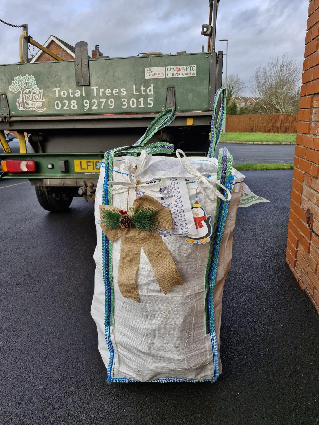christmas firewood present with bow by Total Trees Ltd